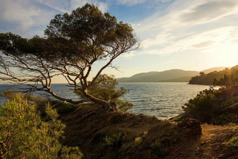 Picturesque hiking trail on the coast, sunset, La Croix-Valmer, Saint Tropez, Var, French Riviera,