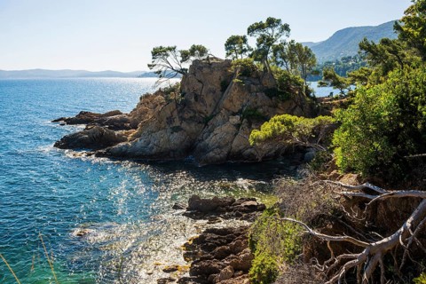 Hiking trail on the coast, Le Lavandou, Var, French Riviera, Provence-Alpes-Cote d'Azur, Cote d