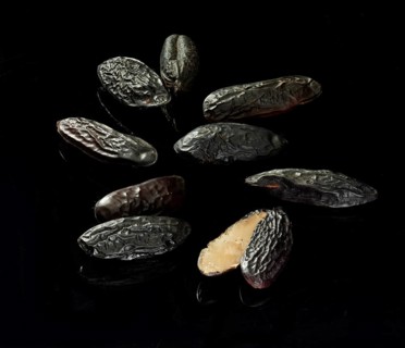 Tonka beans against a black background