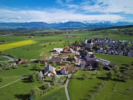 Village view with field of flowering rape, behind the Rigi and the snow-covered Alps, Beinwil,