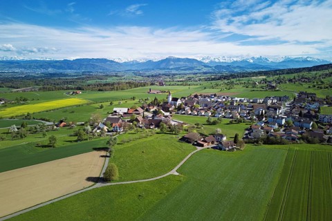 Village view with field of flowering rape, behind the Rigi and the snow-covered Alps, Beinwil,