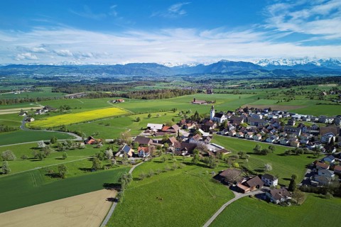 Village view with field of flowering rape, behind the Rigi and the snow-covered Alps, Beinwil,
