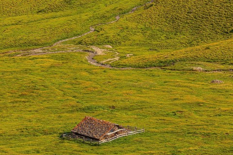 Alpine hut in green alpine meadow, above Grimentz, Val d'Anniviers, Valais Alps, Canton Valais,