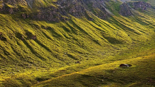 Alpine hut in green alpine meadow, above Grimentz, Val d'Anniviers, Valais Alps, Canton Valais,