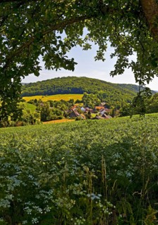 Landscape in the Weserbergland, Bodenwerder, Münchhausenstadt, Lower Saxony, Germany