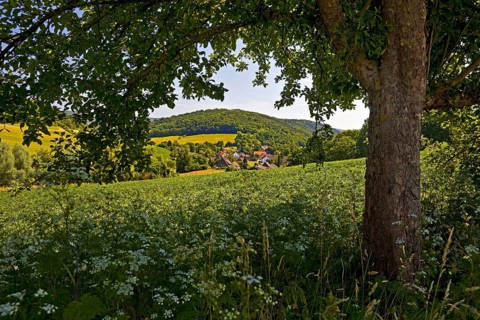 Landscape in the Weserbergland, Bodenwerder, Münchhausenstadt, Lower Saxony, Germany
