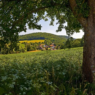 Landscape in the Weserbergland, Bodenwerder, Münchhausenstadt, Lower Saxony, Germany