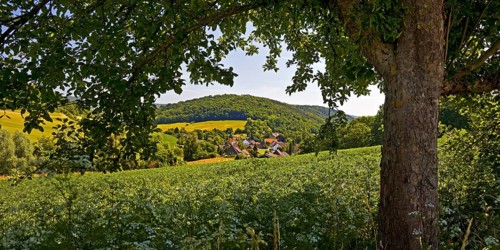 Landscape in the Weserbergland, Bodenwerder, Münchhausenstadt, Lower Saxony, Germany