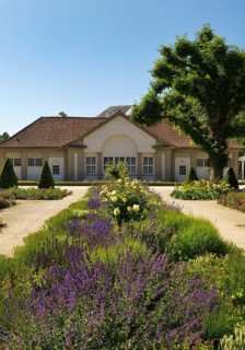 Rose garden in the spa gardens with the back of the concert shell, Bad Nauheim, Hesse, Germany