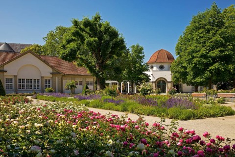 Rose garden in the spa gardens with the back of the concert shell and the Trinkkuranlage, Bad
