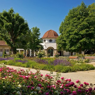 Rose garden in the spa gardens with the back of the concert shell and the Trinkkuranlage, Bad