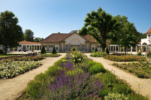 Rose garden in the spa gardens with the back of the concert shell, Bad Nauheim, Hesse, Germany