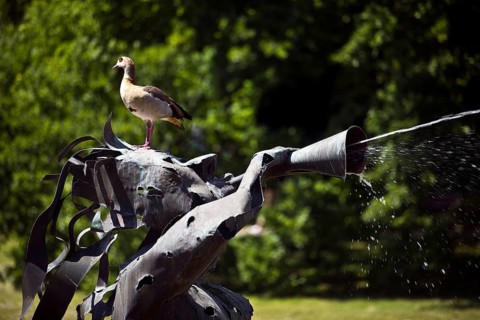 A Nile goose sits on the water-spouting Triton Fountain, Bad Nauheim, Hesse, Germany