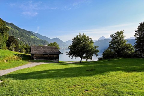 Rütli meadow, Lake Lucerne, Rütli, Canton, Uri, Switzerland