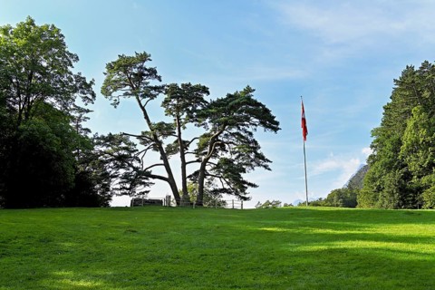 Rütli meadow, Lake Lucerne, Rütli, Canton, Uri, Switzerland