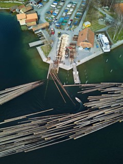 Raft of felled tree trunks at the landing stage where the trunks are pulled ashore and cut to size