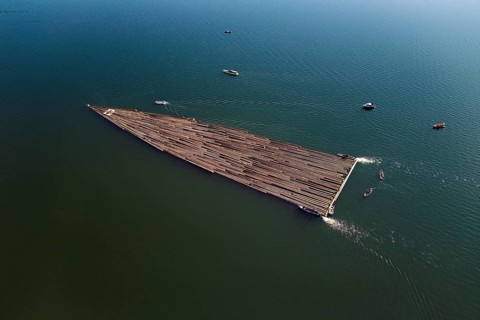 Forestry workers float a raft of felled tree trunks from Bergmatt across Lake Ägeri to the harbour,