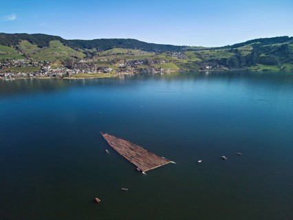 Forestry workers float a raft of felled tree trunks from the Bergmatt across the Ägerisee to the