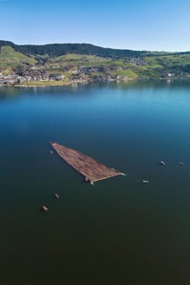 Forestry workers float a raft of felled tree trunks from the Bergmatt across the Ägerisee to the