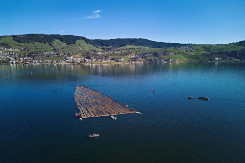 Forestry workers float a raft of felled tree trunks from the Bergmatt across the Ägerisee to the