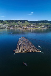 Forestry workers float a raft of felled tree trunks from the Bergmatt across the Ägerisee to the