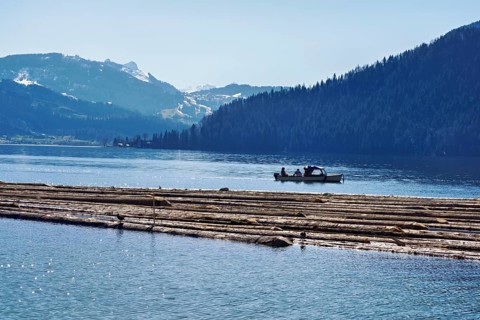 Forestry workers float a raft of felled tree trunks from the Bergmatt across the Ägerisee to the