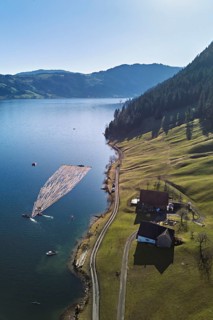 Forestry workers float a raft of felled tree trunks from the Bergmatt across the Ägerisee to the