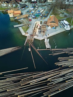 Raft of felled tree trunks at the landing stage where the trunks are pulled ashore and cut to size