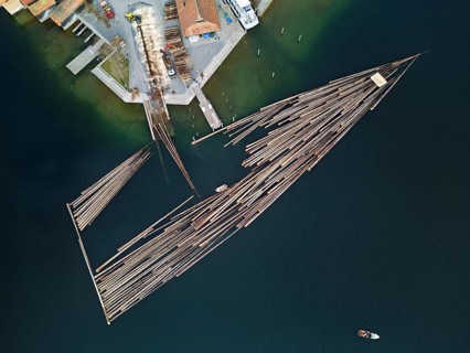 Raft of felled tree trunks at the landing stage where the trunks are pulled ashore and cut to size