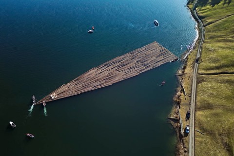Forestry workers float a raft of felled tree trunks from the Bergmatt across the Ägerisee to the