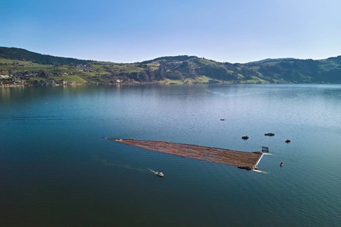 Forestry workers float a raft of felled tree trunks from the Bergmatt across the Ägerisee to the