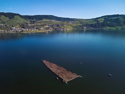 Forestry workers float a raft of felled tree trunks from the Bergmatt across the Ägerisee to the