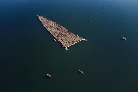 Forestry workers float a raft of felled tree trunks from the Bergmatt across the Ägerisee to the