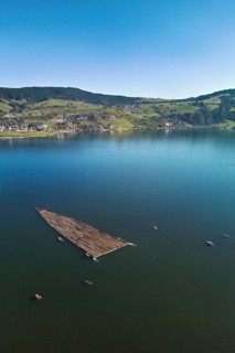 Forestry workers float a raft of felled tree trunks from the Bergmatt across the Ägerisee to the