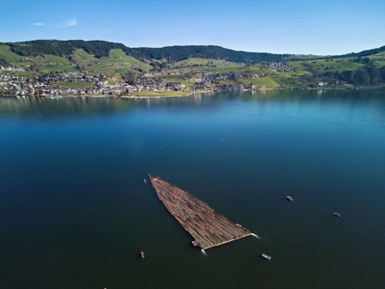 Forestry workers float a raft of felled tree trunks from the Bergmatt across the Ägerisee to the