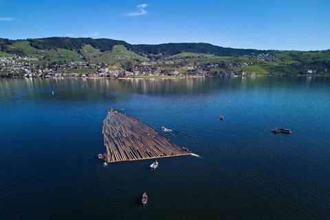 Forestry workers float a raft of felled tree trunks from the Bergmatt across the Ägerisee to the