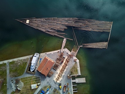 Raft of felled tree trunks at the landing stage where the trunks are pulled ashore and cut to size