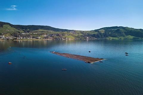 Forestry workers float a raft of felled tree trunks from the Bergmatt across the Ägerisee to the
