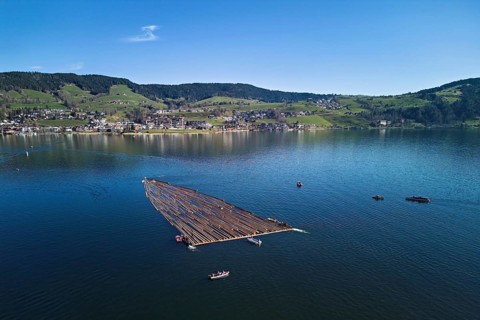Forestry workers float a raft of felled tree trunks from the Bergmatt across the Ägerisee to the