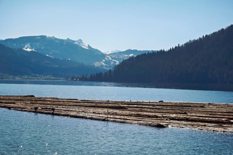 Forestry workers float a raft of felled tree trunks from the Bergmatt across the Ägerisee to the
