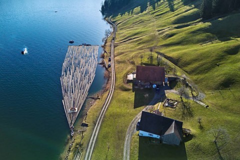 Forestry workers float a raft of felled tree trunks from the Bergmatt across the Ägerisee to the