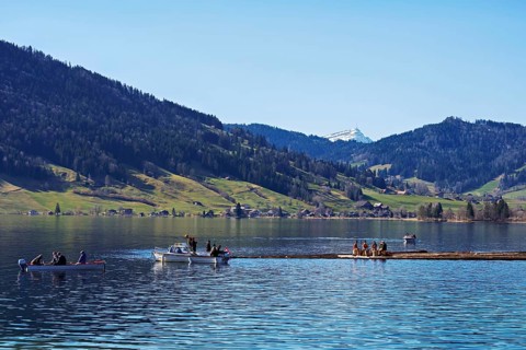 Forestry workers float a raft of felled tree trunks from the Bergmatt across the Ägerisee to the