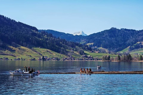 Forestry workers float a raft of felled tree trunks from the Bergmatt across the Ägerisee to the