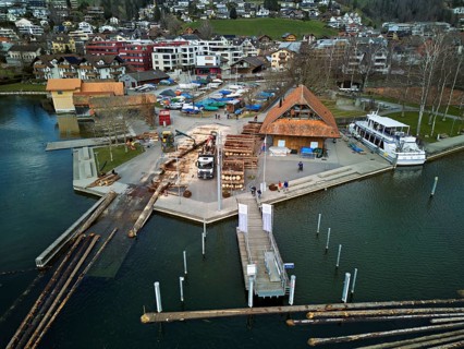 Raft of felled tree trunks at the landing stage where the trunks are pulled ashore and cut to size