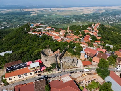 Historic town with a castle and red roofs, situated on a green hill with a wide view, aerial view,