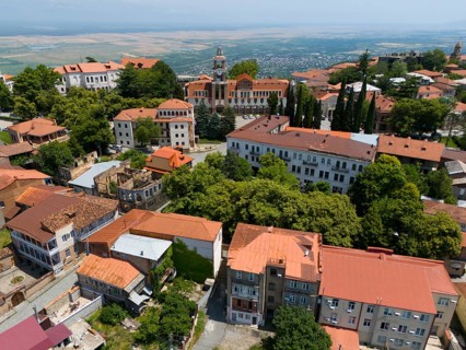 Panorama over a hilly town with many trees and traditional roofs, aerial view, Sighnaghi, Signagi,