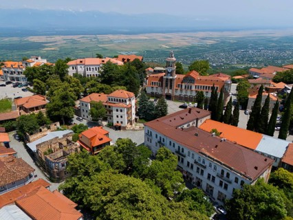 Panoramic view of a town with a prominent tower and traditional red roofs, aerial view, Sighnaghi,