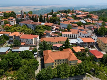 View of a hill town with traditional roofs and many trees in an extensive panorama, aerial view,