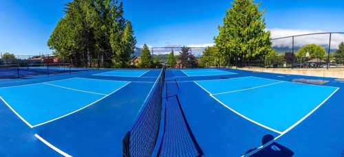 Four empty pickleball courts with blue surfaces and white lines are ready for players on a sunny