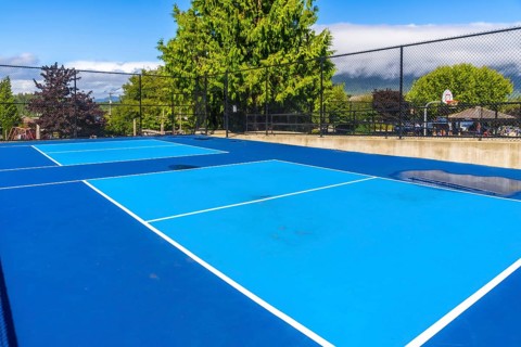 Two vibrant blue pickleball courts stand empty on a sunny day, white lines marking the boundaries